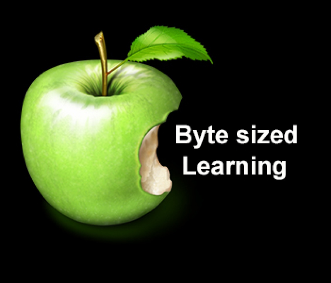 Byte sized Learning for Sales Force Effectiveness and exemplary Customer Service